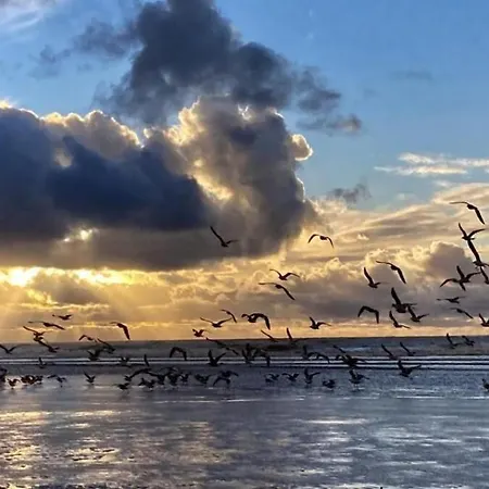 Le St Andre Conciergerie Leroy شقة *